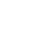 Online Payment